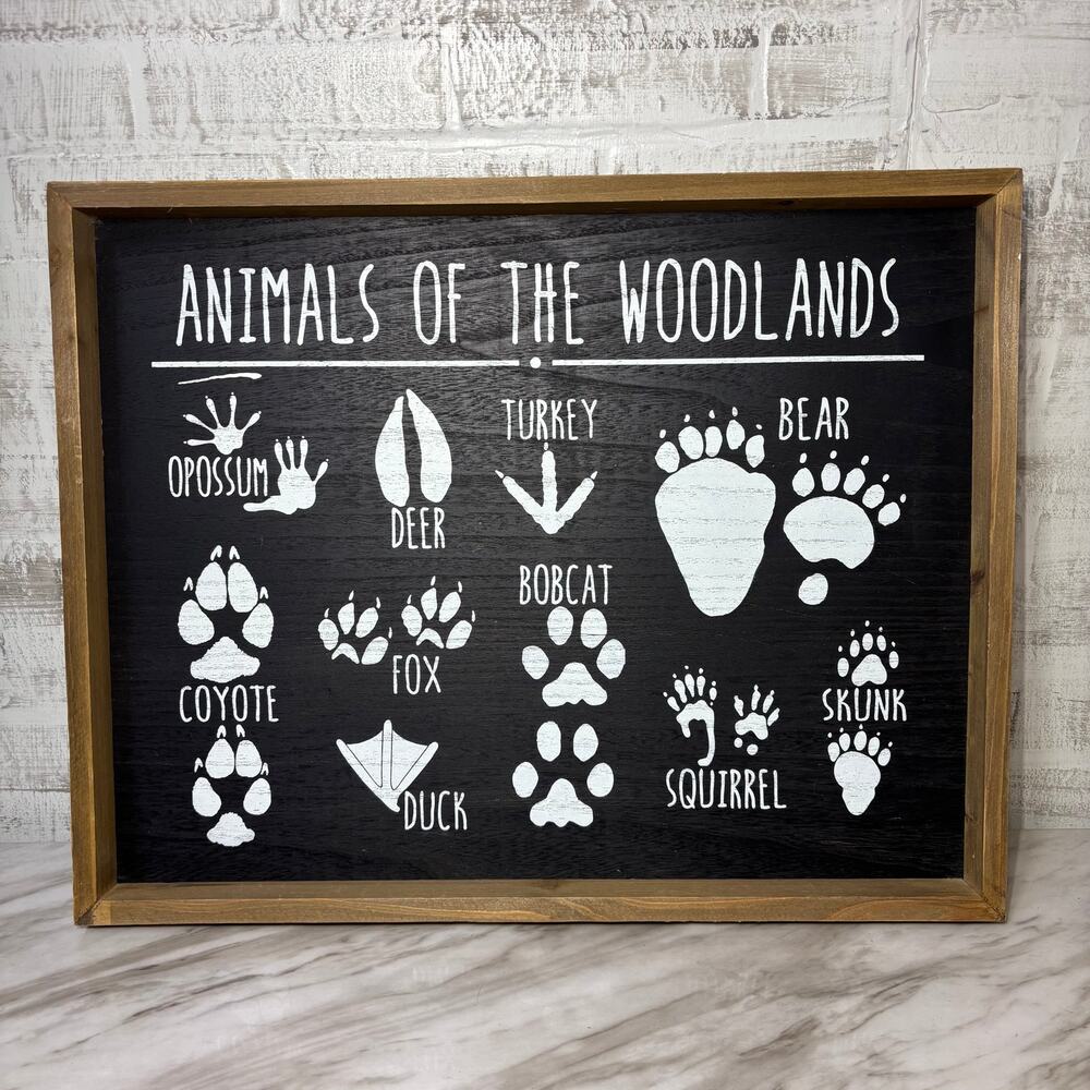 Animals of the Woodlands Framed Animal Tracks Wall Decor
